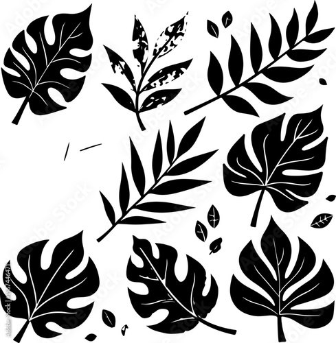 set of black leaves, feather, vector, bird, illustration, pattern, leaf, art, pen, design, nature, decoration, silhouette, set, plant, symbol, quill, vintage, icon, seamless, drawing, wing, color, bla