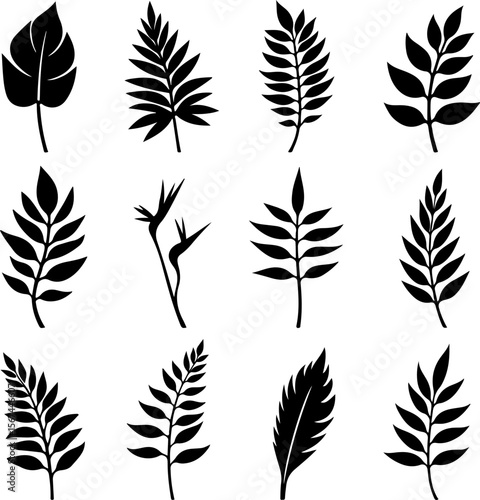 set of black leaves, feather, vector, bird, illustration, pattern, leaf, art, pen, design, nature, decoration, silhouette, set, plant, symbol, quill, vintage, icon, seamless, drawing, wing, color, bla