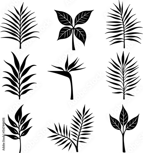 set of black leaves, feather, vector, bird, illustration, pattern, leaf, art, pen, design, nature, decoration, silhouette, set, plant, symbol, quill, vintage, icon, seamless, drawing, wing, color, bla