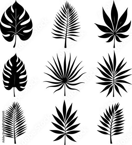 set of black leaves, feather, vector, bird, illustration, pattern, leaf, art, pen, design, nature, decoration, silhouette, set, plant, symbol, quill, vintage, icon, seamless, drawing, wing, color, bla