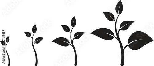 Set of growing plant icons representing eco-friendly growth stages, sustainable agriculture development, organic farming progress with transparent background