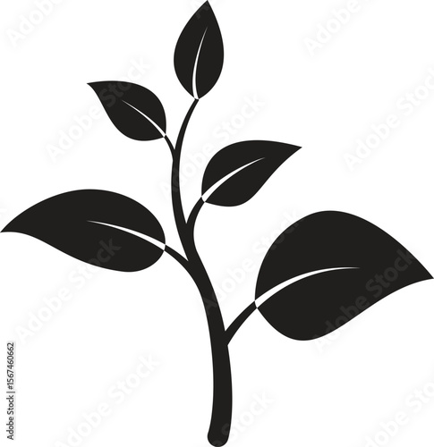 Large mature plant with many leaves black and white icon symbolizing full organic growth, green success or eco farming results with transparent background

