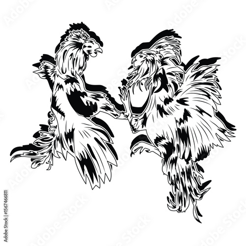 Vector illustration of two fighting cocks fighting.