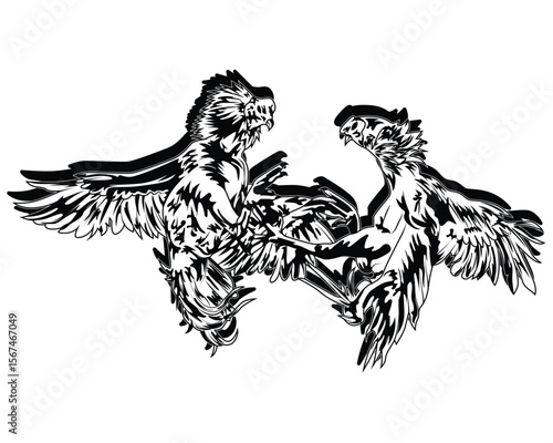 Vector illustration of two fighting cocks fighting.
