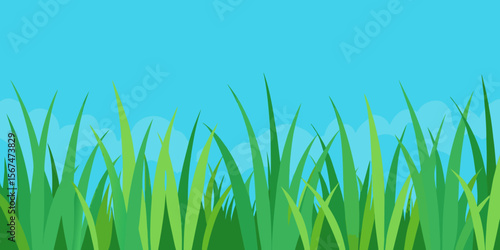 Fresh green grass blades grow bright in a summer meadow, isolated on a white background, embodying nature's vibrant spring growth