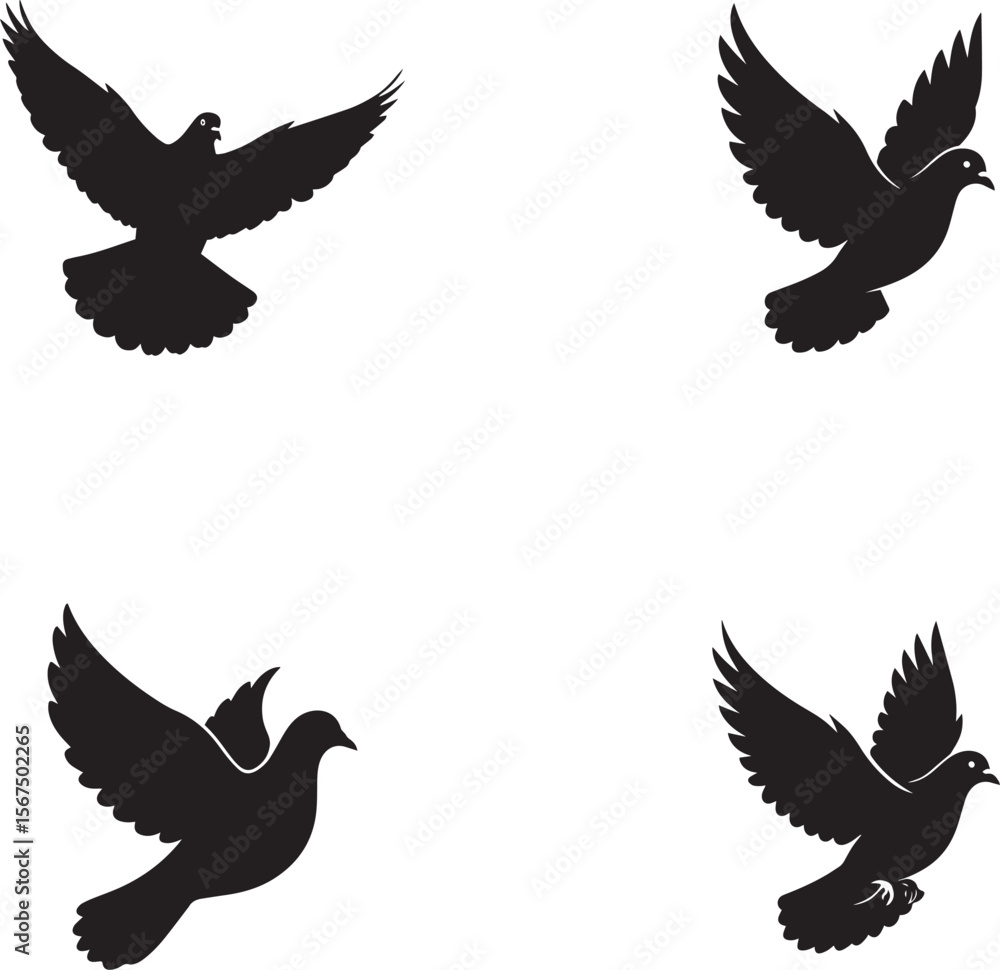 Fototapeta premium Dove Silhouette