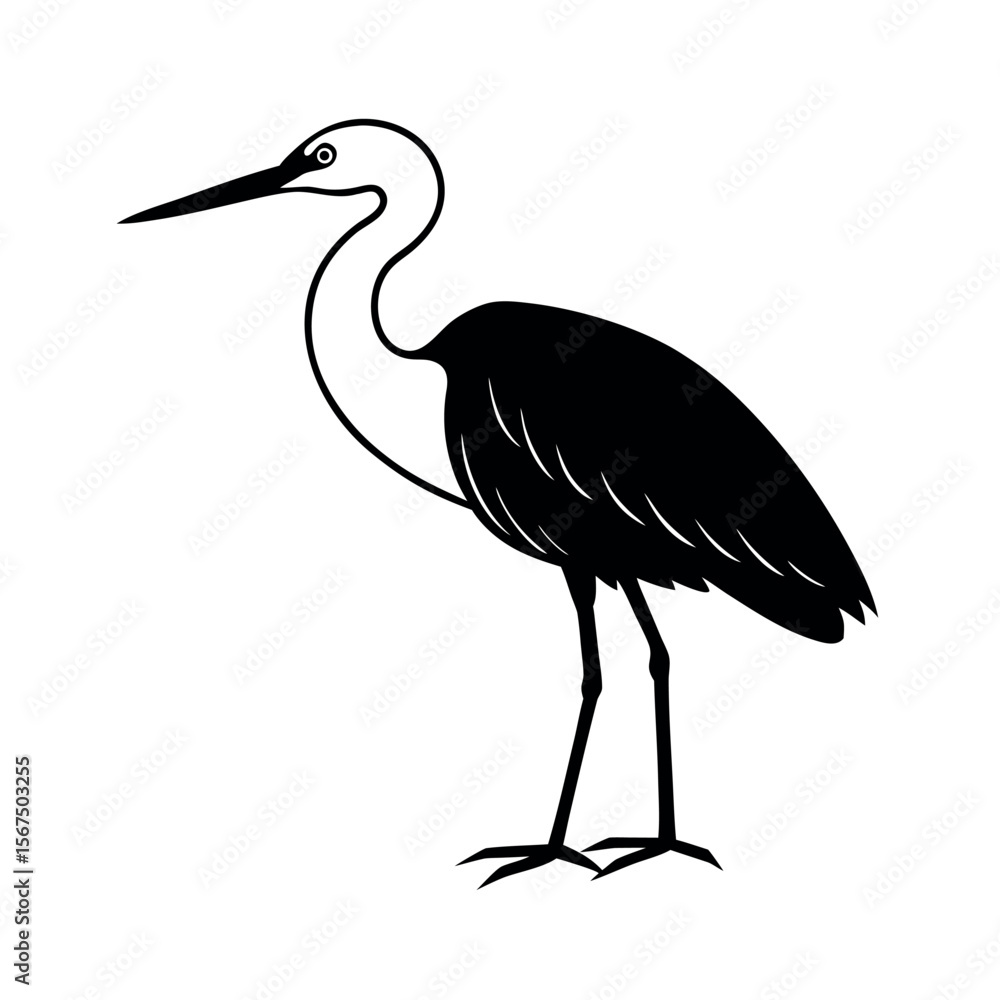 Fototapeta premium Little Egret Standing Bird Silhouette