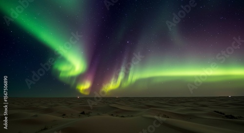 Vibrant aurora borealis displays its mesmerizing green and purple hues across a starlit night sky above a snow-covered landscape