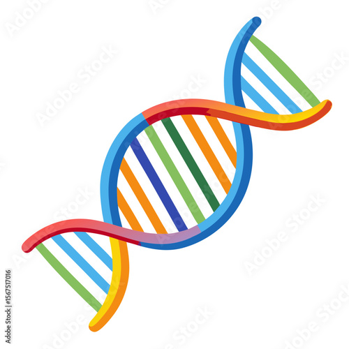 Colorful D N A helix strand science illustration biology
