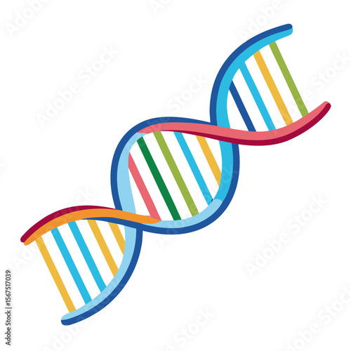 Colorful double helix D N A strand illustration science biology
