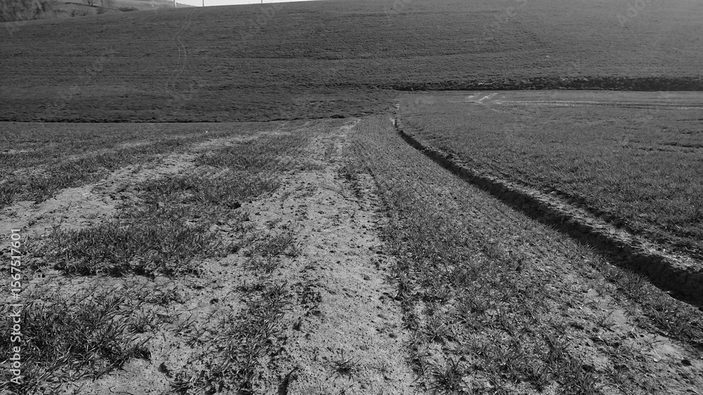 Naklejka premium plowed field in winter