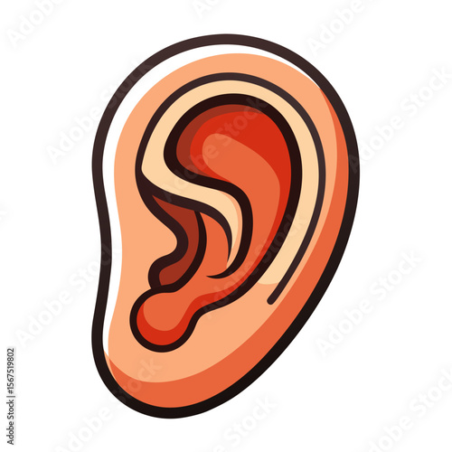 Human ear with warm color palette and bold outlines human anatomy hearing