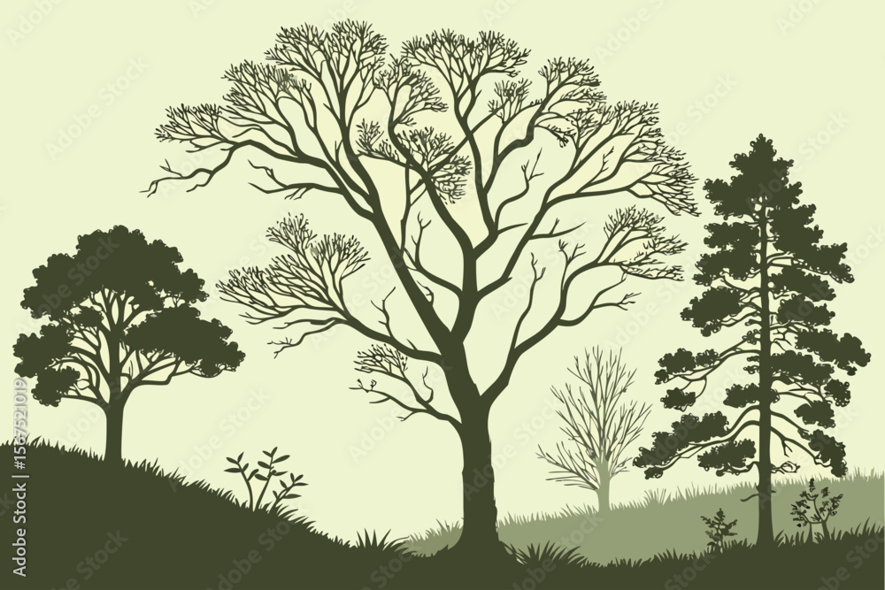 Obraz premium Stylized illustration of a natural landscape with a variety of trees, including deciduous and evergreen, showcasing different seasons and foliage, suitable for environmental themes.
