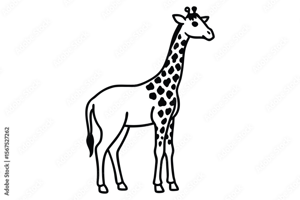 Fototapeta premium Giraffe standing calmly with its patterned silhouette shown prominently against a white backdrop