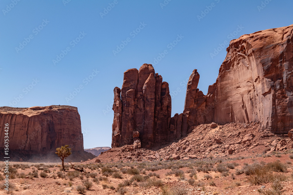 Fototapeta premium Pinnacle, Rain God Mesa is a summit in Navajo County, Arizona, United States. Shinarump Conglamerate、Moenkopi Formation、De Chelly Sandstone with Organ Rock Formation / Shale. Desert varnish