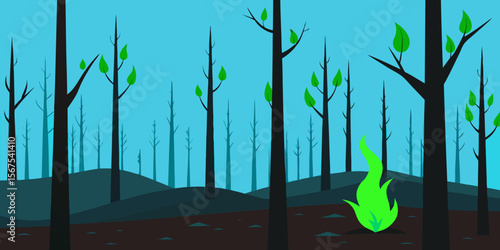 A Recovering Forest After A Fire With New Growth And Charred Tree Trunks