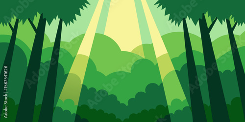 Sunbeams Filtering Through The Canopy Of A Dense And Old Growth Forest In A Scene