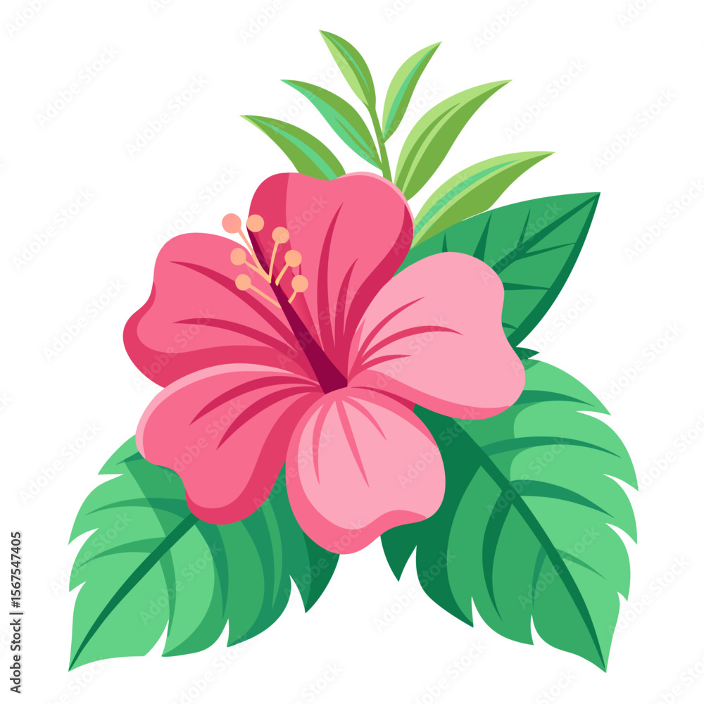 Fototapeta premium Pink Hibiscus Flower Vector