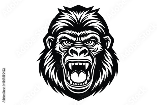 The ape looks seriously imposing as he stares straight ahead, framed with orange fur