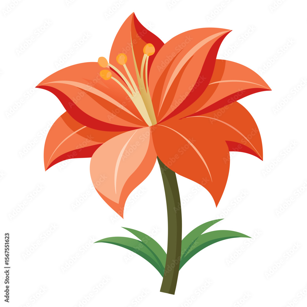 Fototapeta premium Amaryllis Flower Vector Art