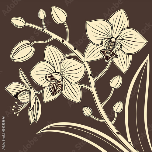 Elegant orchid branch with blooming flowers and buds on a brown background in line art style