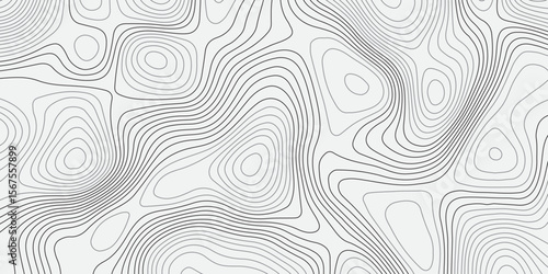 A seamless, minimalist background featuring abstract topographic contour lines in soft greys over a clean white canvas. The undulating,wavy lines form organic,layered shapes resembling elevation maps.