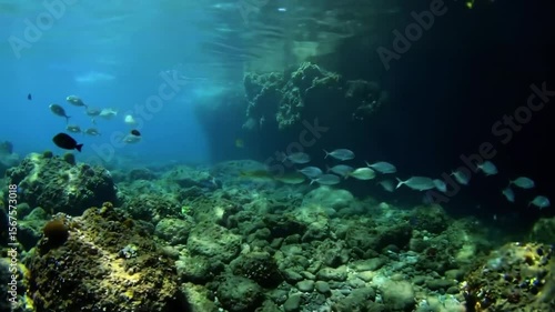 Wallpaper Mural A mesmerizing underwater cavern Torontodigital.ca