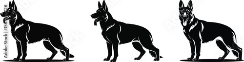 Three german shepherd dogs standing in row silhouette vector illustration