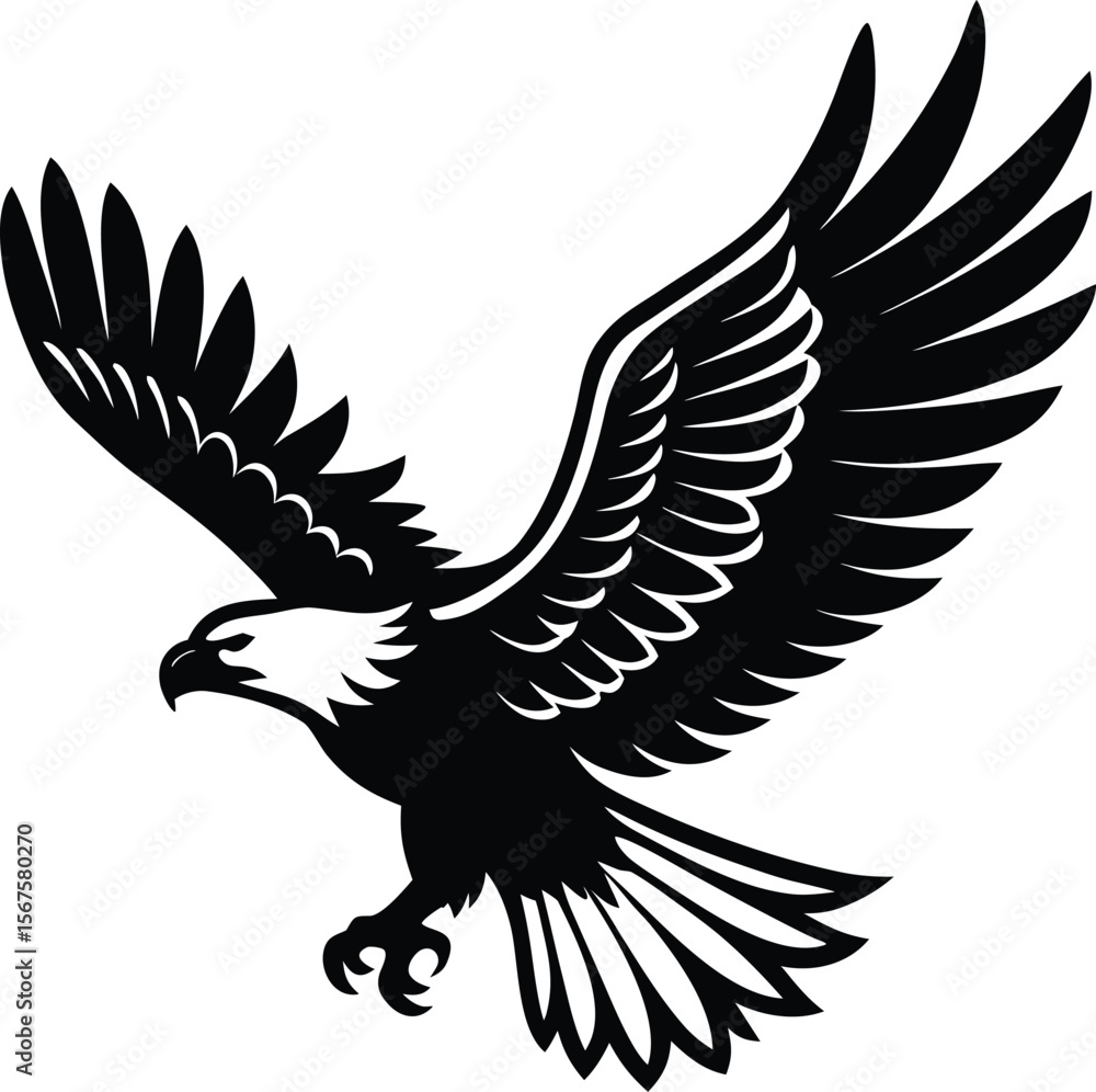 Fototapeta premium Vector art of an eagle is flying with wings spread, isolated on white background