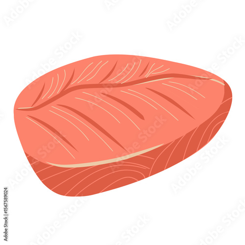 Salmon fillet illustration, salmon meat slices, seafood vector illustration 
