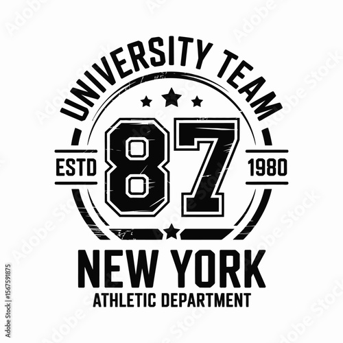 New York, Brooklyn t-shirt design. T-shirt print design in American college style. Athletic typography for tee shirt print in university and college style. Vector