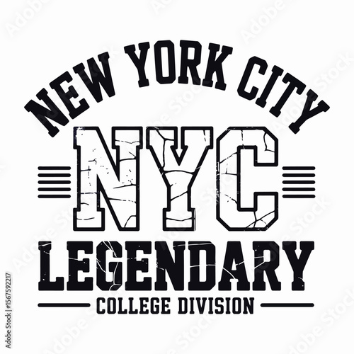 New York, Brooklyn t-shirt design. T-shirt print design in American college style. Athletic typography for tee shirt print in university and college style. Vector