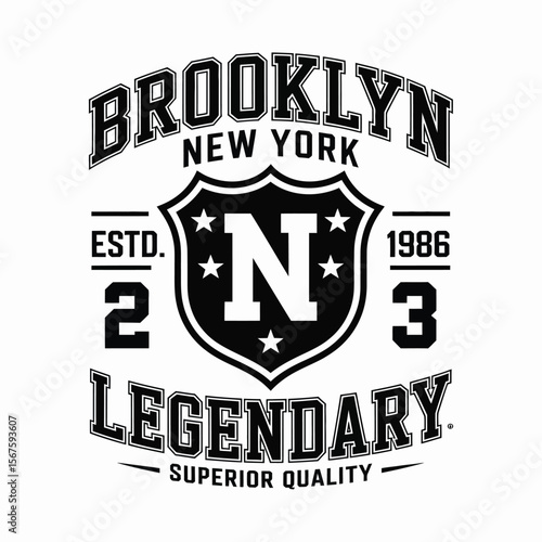 New York, Brooklyn t-shirt design. T-shirt print design in American college style. Athletic typography for tee shirt print in university and college style. Vector