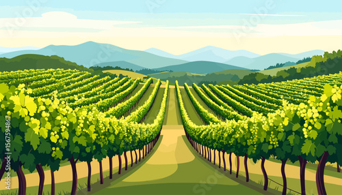 Lush Vineyard Landscape with Rows of Grapevines and Distant Mountains