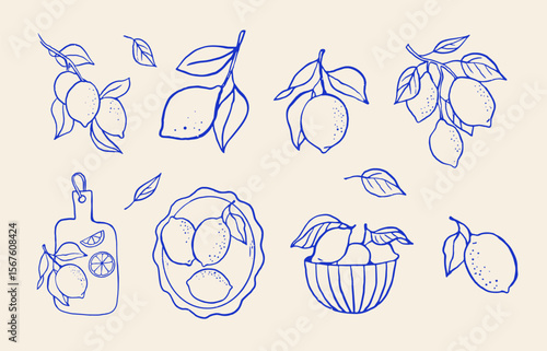 Hand drawn vintage collection of lemon illustrations. Citrus elements.