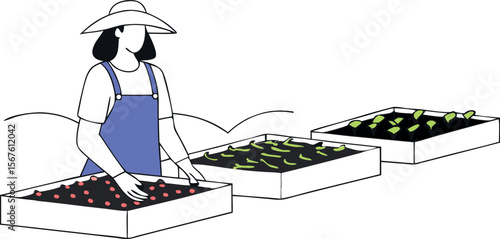 vector illustration of woman harvesting organic vegetables in urban garden