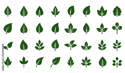 Green plant leaves vector illustration set with floral spring eco design