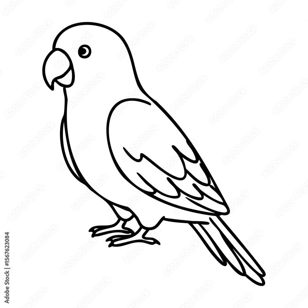 Outline drawing of a parrot with detailed wings and tail. Vector hand-drawn doodle illustration Outline drawing of a parrot with detailed wings and tail. Vector hand-drawn doodle illustration