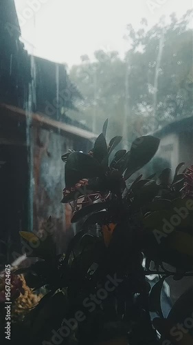 Raining scene with flower 