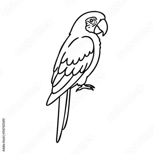 Simple line drawing of a parrot perched on a branch. Vector hand-drawn doodle illustration