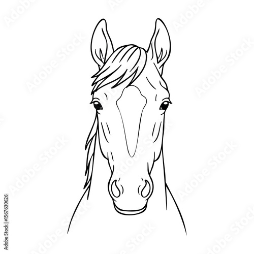 Simple line drawing of a horse's face with flowing mane. Vector hand-drawn doodle illustration