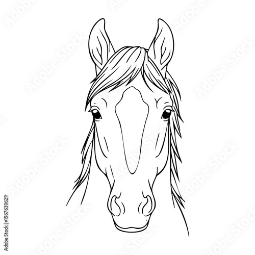Line art of a horse head with detailed features and mane. Vector hand-drawn doodle illustration