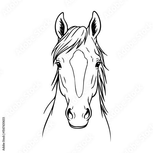 Detailed outline drawing of a horse's head with flowing mane. Vector hand-drawn doodle illustration