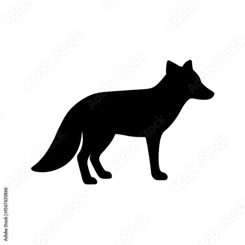 Wild Black Arctic Fox Animal Silhouette Isolated on a Pure White Background Image