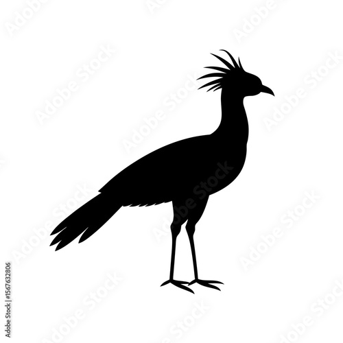 Elegant Secretary Bird Silhouette Art Representing African Wildlife