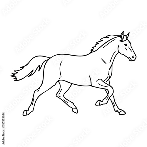 Outlined drawing of horse in motion with flowing mane and raised tail. Vector hand-drawn doodle illustration