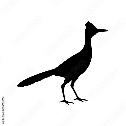 Fast Roadrunner Bird Black Silhouette Running in a Dynamic Side View