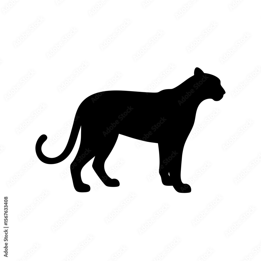 Fototapeta premium Powerful Puma Wild Cat Black Silhouette Hunting in a Side Profile