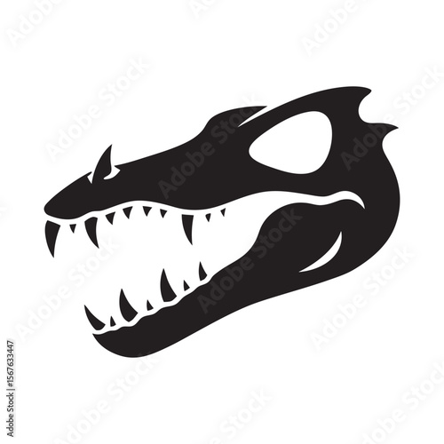 Crocodile Skull With Sharp Features
