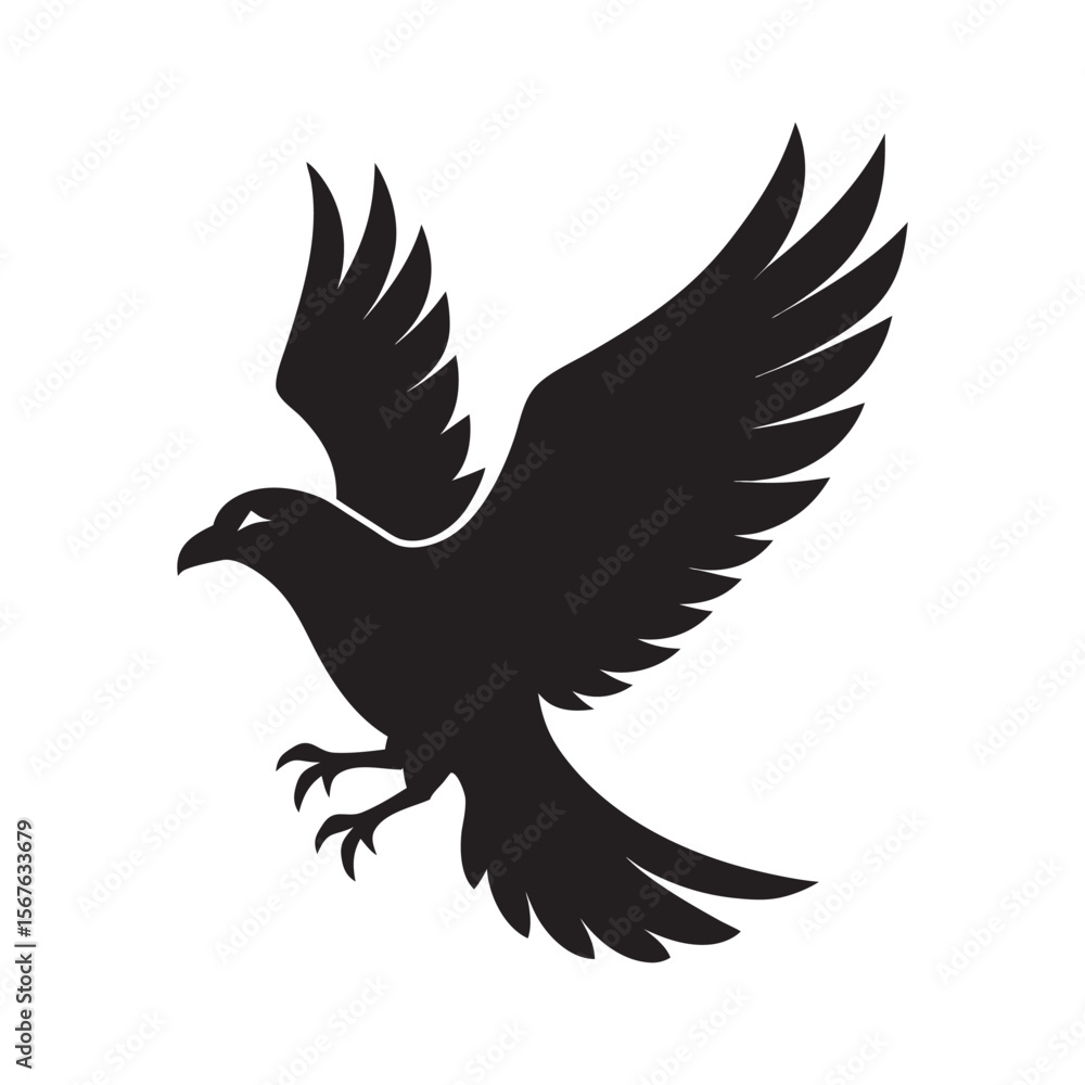 Obraz premium Black Bird Soaring With Wings Spread